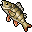 Bass