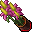 Flower Pot (Fairy Dancer, Grown)
