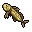 Sandfish