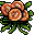 Soothe Bloom