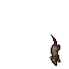Ghost Rat