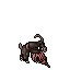 Pirat Guard