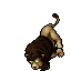 Roaring Lion
